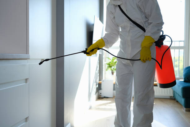 Best Residential Mold Removal  in Bloomfield, NY